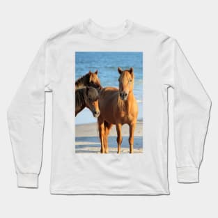 Assateague Beach Ponies Series - 01 Long Sleeve T-Shirt